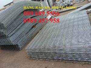 Sản xuất Hàng rào nhà máy phi 5 50x200, Hàng rào sơn tĩnh điện D5 50x150