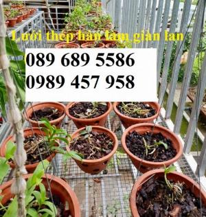 Bán Lưới thép làm giàn lan phi 3 ô 50x50, Lưới phi 4 ô 50x50, 100x100