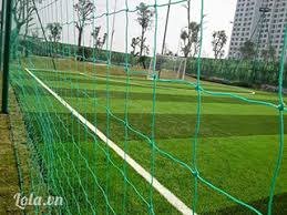 Lưới Rào Sân Banh Nguyễn Út