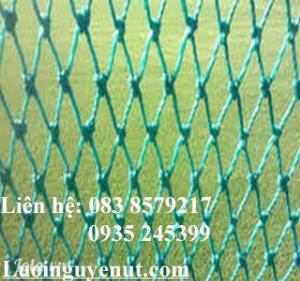 Lưới Rào Sân Banh Nguyễn Út
