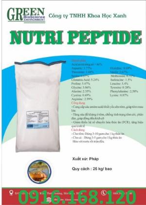 Nutri Peptide dinh dưỡng cho tôm cá,tăng trọng dạng bột, nguyên liệu nhập khẩu Pháp