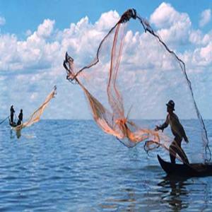 Chài cá bắt thủy hải sản