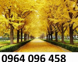Tranh phong cảnh - tranh gạch 3d phong cảnh - 676XP