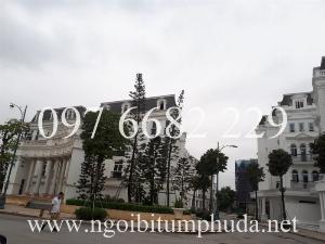 Tấm lợp làm từ bitum, sản phẩm nhập khẩu từ châu âu