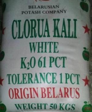 Potassium Chloride KCl (Kali Clorua) - Belarus