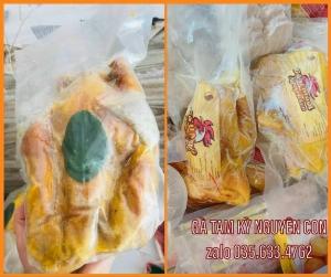 GÀ TAM KỲ NGUYÊN CON