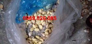 Máy bóc vỏ tỏi nhanh sạch inox
