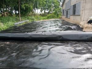 Bạt hdpe 0.75mm 250m2 khổ 5m lót dải cầu đường