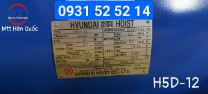 Palang dầm đôi 5 tấn 12 mét hyundai