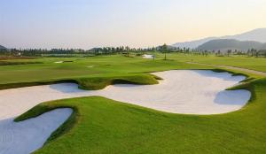 Cỏ Sân Golf Bemuda