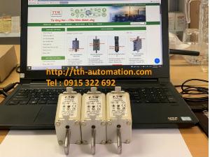 Cầu chì 170M3818D xuất xứ : Bussmann - India (Nhập khẩu bởi TTH Automation)