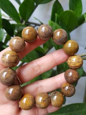 Vòng Tay Nam Gỗ Hoá Thạch Bóng đẹp Hiếm Size 16mm