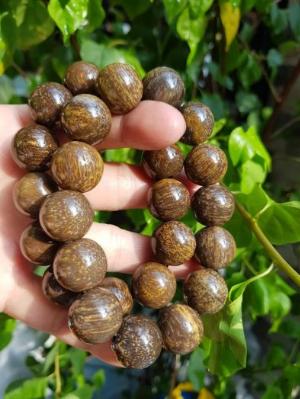 Vòng Nam Gỗ Hoá Thạch Size 16mm