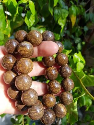 Vòng Nam Gỗ Hoá Thạch Size 16mm