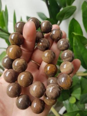 Vòng Gỗ Hóa Thạch Nam 16mm