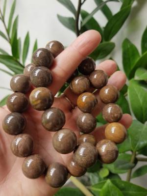 Vòng Gỗ Hóa Thạch Nam 16mm