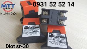 Diot phanh motor sr-30 yat cầu trục