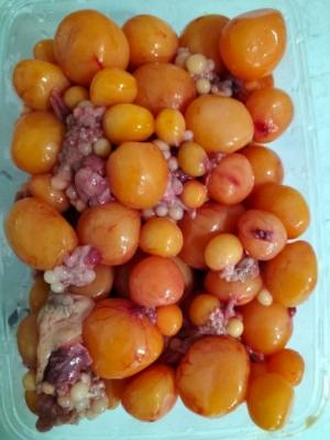Trứng gà non hộp 1kg