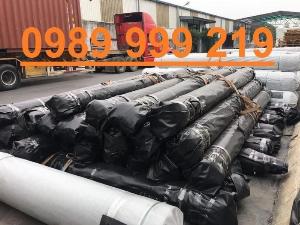 Nylon đen hdpe 0.8mm cuộn 200m2 170kg khổ 4mx50m lót bể chúa nước-kho bình thuận