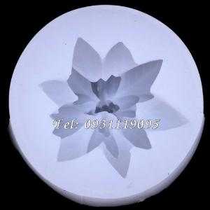 Khuôn silicon làm rau câu hoa trạng nguyên Noel giáng sinh - Mã số 1116
