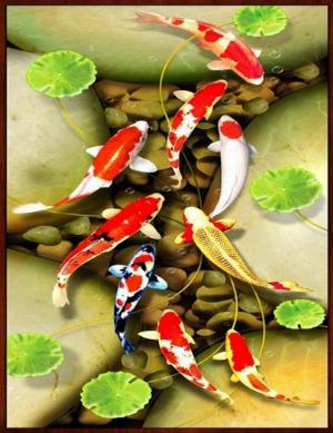 Tranh cá koi 3d - tranh gạch 3d cá koi - KBV43