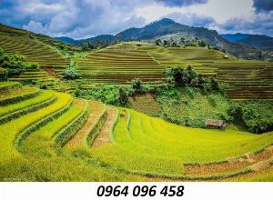 Tranh ruộng bậc thang tranh gạch men 3d - 543SV