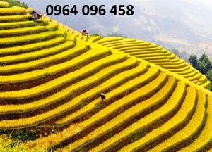 Tranh ruộng bậc thang tranh gạch men 3d - 543SV