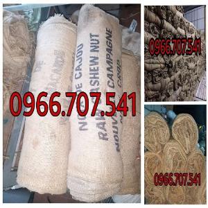 Bao tải bố quấn bầu cây công trình