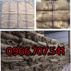 Bao tải bố quấn bầu cây công trình