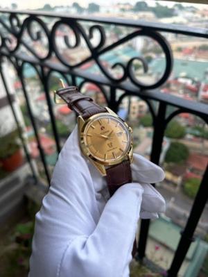 Đồng Hồ RADO Cá Ngựa