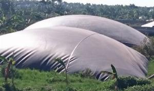 Màng HDPE làm biogas