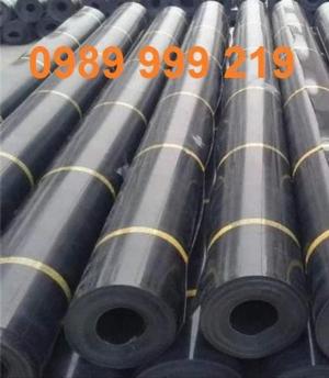Bạt nhựa đen nylon 0.3mm cuộn 300m2 khổ 6mx50m-lót bể nước