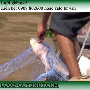 Lưới giăng cá lớn trên 2kg giăng sông