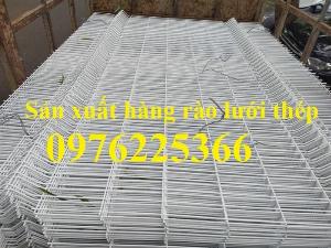 Hàng rào lưới thép mạ kẽm, hàng rào lưới thép sơn tĩnh điện tại Hà Nội