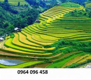Tranh gạch 3d ruộng bậc thang - 989C