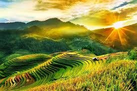 Tranh gạch 3d ruộng bậc thang - 989C