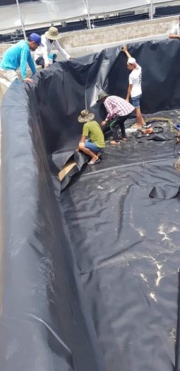 Bạt lót ao,trải hồ 0.5mm khổ 4x50m 200m2 giá rẻ tại hà nội