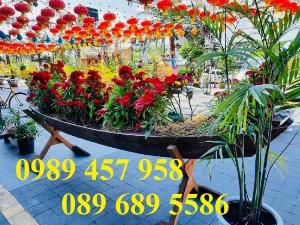 Chuyên sản xuất xuồng gỗ, thuyền gỗ, thuyền trang trí, thuyền trưng bày