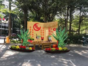 Chuyên sản xuất xuồng gỗ, thuyền gỗ, thuyền trang trí, thuyền trưng bày