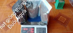 Shop a\hạt giống cây trồng quý hiếm