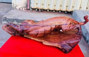 Tương báo gỗ cẩm siêu vân