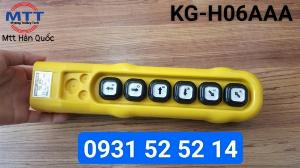 Bấm điều khiển cầu trục H06AAA