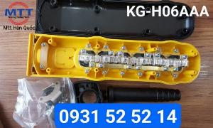 Bấm điều khiển cầu trục H06AAA