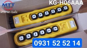 Bấm điều khiển cầu trục H06AAA