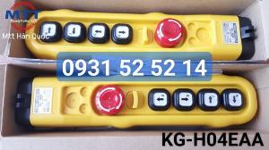 Nút bấm điều khiển cầu trục H04EAA loại 4 nút 1 tốc độ