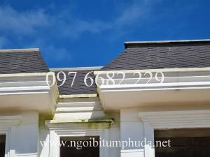 Tấm lợp Asphalt, Asphalt roofing Shingle