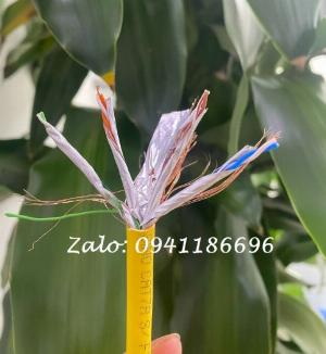 Cáp mạng Cat7a SFTP SINO - 22AWG