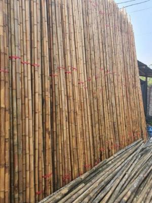 BambooVietArt chuỗi kho tre miền Nam - Bán cây tre tại thành phố Hồ Chí Minh