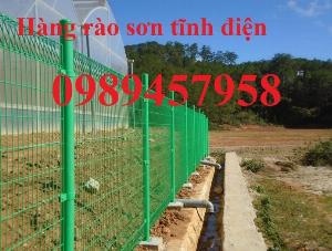 Lưới thép hàng rào mạ kẽm phi 5 50x200, Hàng rào phi 6 ô 50x200, D6 50x50