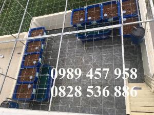 Lưới hàn mạ kẽm nhúng nóng 1ly 10x10, 15x15, 20x20, Lưới mạ kẽm 25x25, 30x30, 50x50